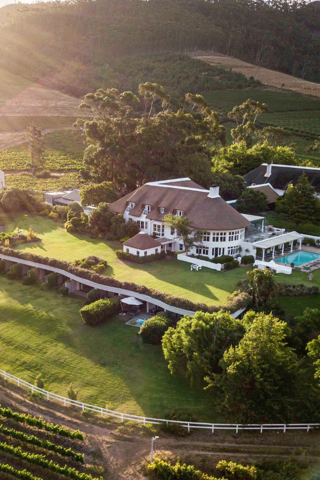 Vignoble Sud-Africain