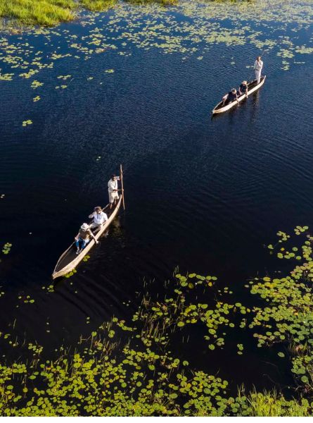 Safari Lodge au Botswana & Chutes Victoria