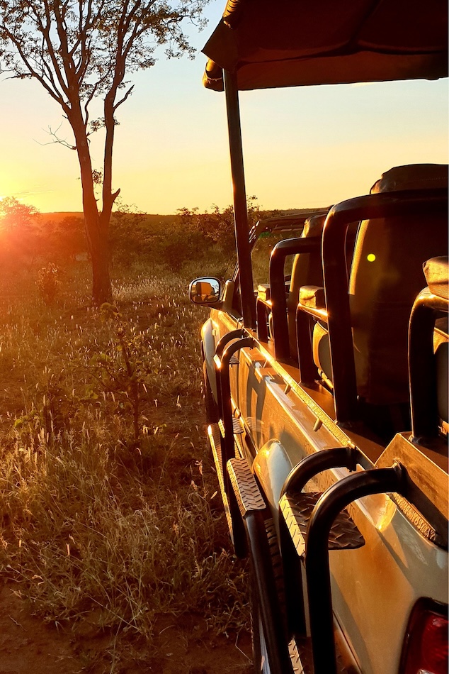 Safari 4x4 Balule, Afrique du Sud
