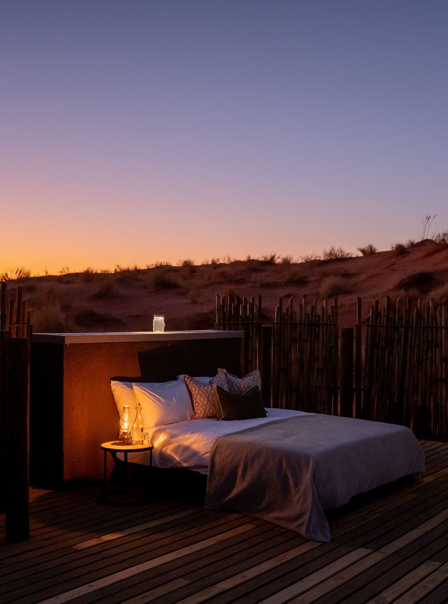 Road trip in Namibia: between desert, safaris and adventure