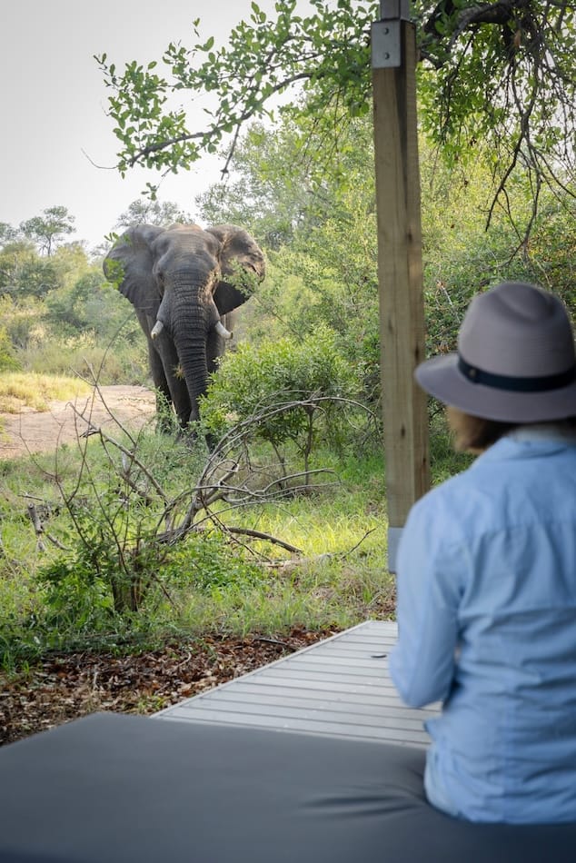 SLIDER 8 IMAGES - 2_AddoElephantPark_Safari_AfriqueDuSud