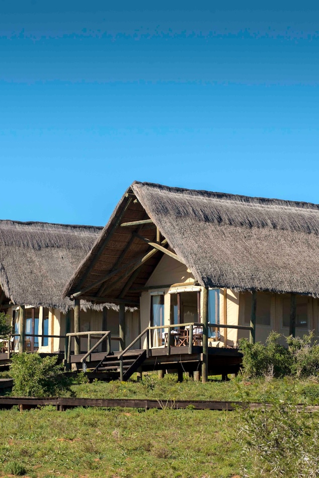 Ferme, Afrique du Sud