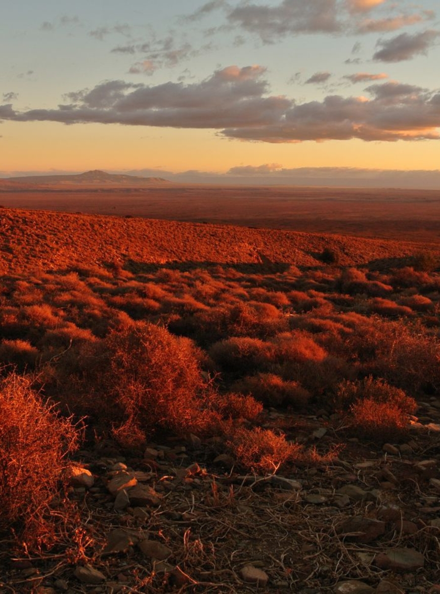 Road Trip Moto en Afrique du Sud : Déserts, Montagnes & Océan