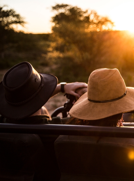 Road Trip Afrique du Sud : Cap, Cederberg & Kgalagadi