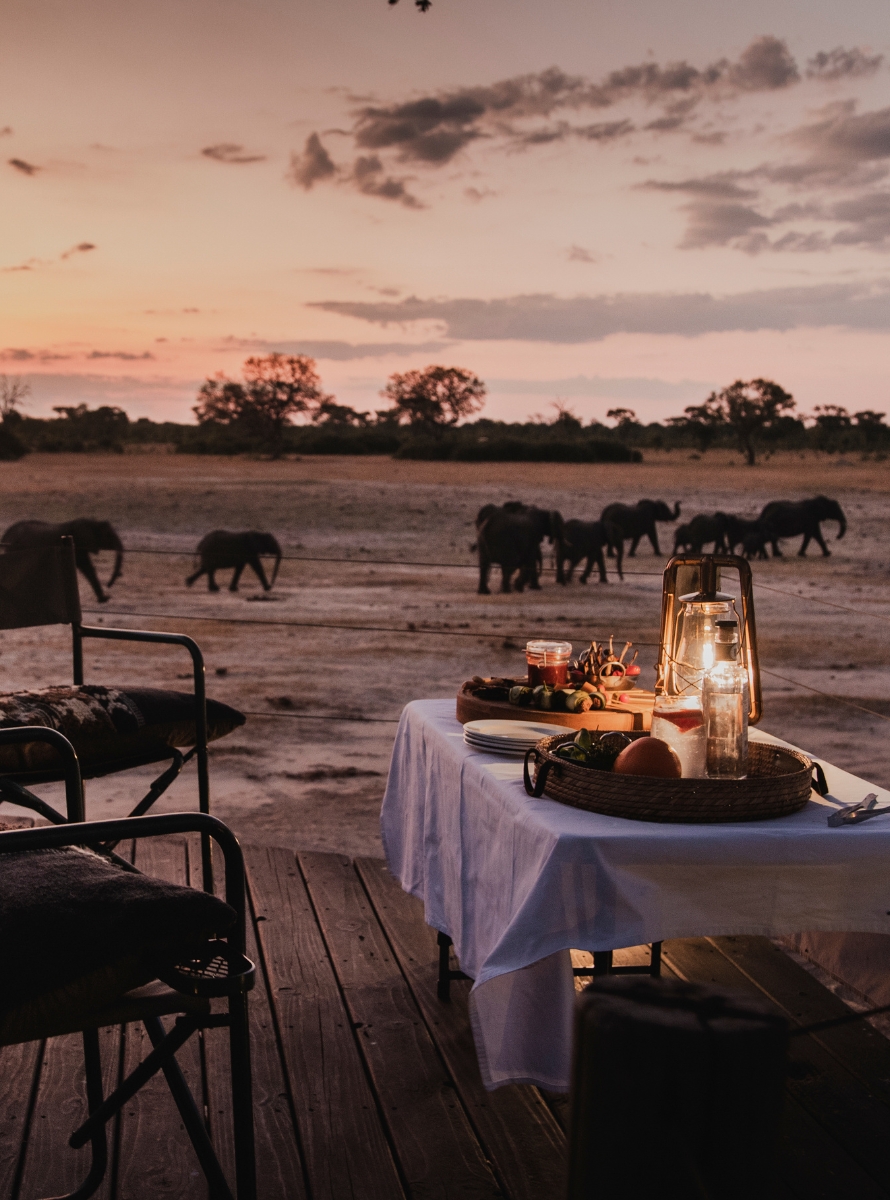 Safari au Zimbabwe : Chutes Victoria & Parcs Secrets
